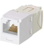 Amazon.com: Panduit CJ6X88TGBU Category-6A 8-Wire TG-Style